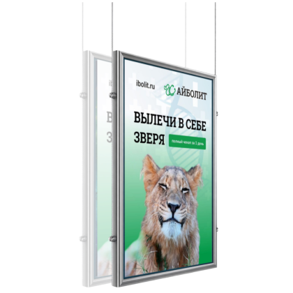 Световая панель Frame двусторонняя подвесная (BG-F-DS-HS-A1) в Уфе