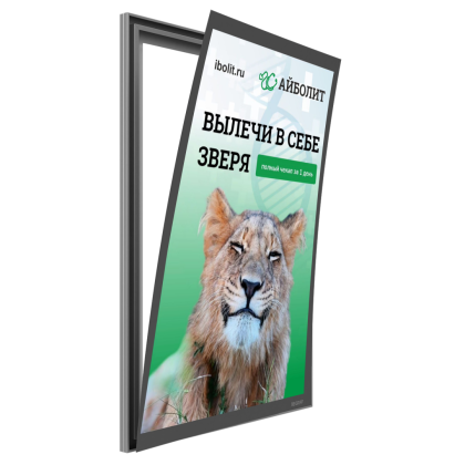 Световая панель Magnet односторонняя (BG-M-SS-WS-2AА) в Кемерово